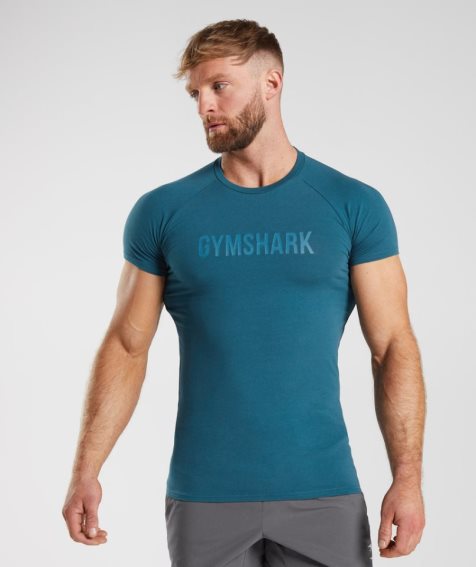 Gymshark Apollo T-shirt Herr Blå | SE-93051T