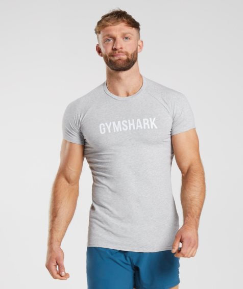 Gymshark Apollo T-shirt Herr Ljusgrå | SE-96057M