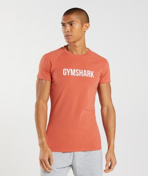 Gymshark Apollo T-shirt Herr Orange | SE-53960O