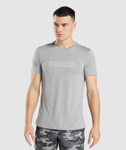 Gymshark Arrival Tryck T-shirt Herr Ljusgrå | SE-40835Q