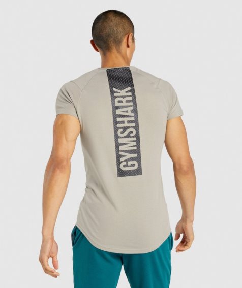 Gymshark Bold T-shirt Herr Grå | SE-04918K