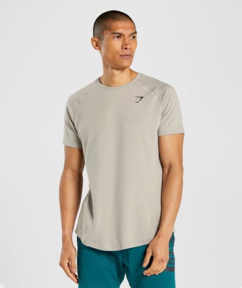 Gymshark Bold T-shirt Herr Grå | SE-56710R