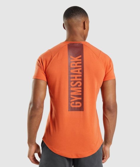 Gymshark Bold T-shirt Herr Orange | SE-93102G