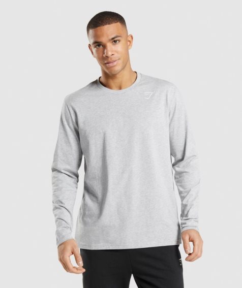 Gymshark Crest Long Sleeve T-shirt Herr Ljusgrå | SE-45832Z