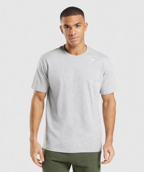 Gymshark Crest T-shirt Herr Ljusgrå | SE-71948E