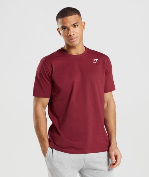 Gymshark Crest T-shirt Herr Vinröda | SE-59432Y