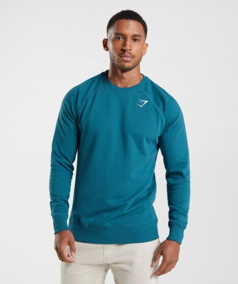 Gymshark Crest Tröjor Herr Blå | SE-81537P