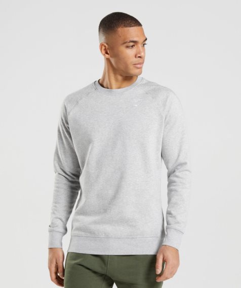 Gymshark Crest Tröjor Herr Ljusgrå | SE-50126K