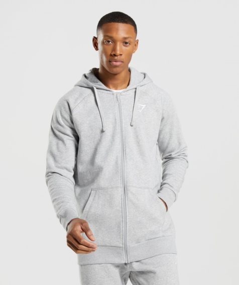 Gymshark Crest Zip Up Hoodie Herr Ljusgrå | SE-35927O