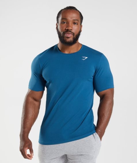 Gymshark Essential T-shirt Herr Blå | SE-38754N