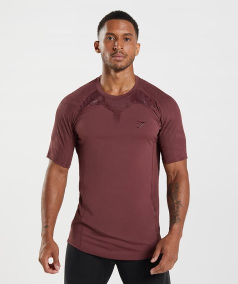 Gymshark Form T-shirt Herr Bruna | SE-04765G