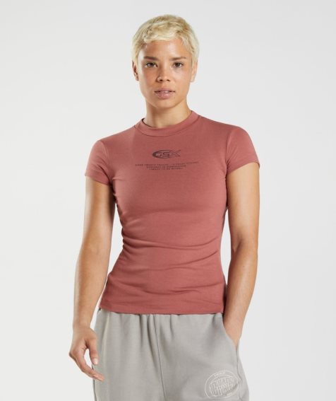 Gymshark GS10 Year Body Fit T-shirt Dam Bruna | SE-72981T