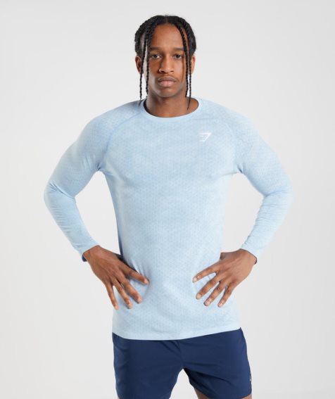 Gymshark Geo Seamless Long Sleeve T-shirt Herr Ljusblå | SE-07315J