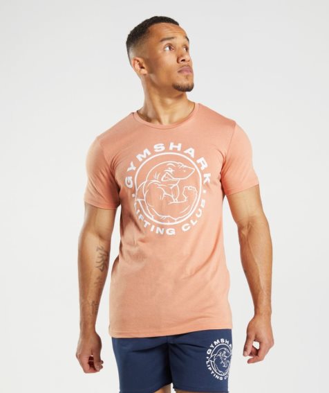 Gymshark Legacy T-shirt Herr Orange | SE-75684J