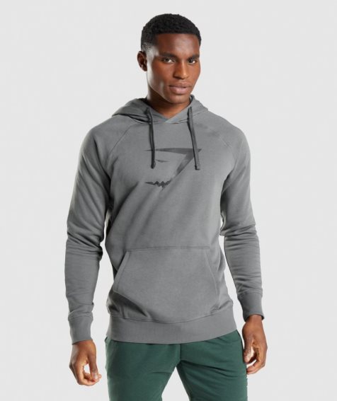 Gymshark Sharkhead Infill Hoodie Herr Grå | SE-74658O