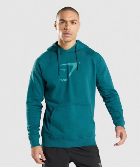 Gymshark Sharkhead Infill Hoodie Herr Turkos | SE-51349G