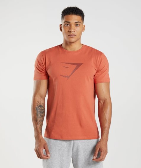 Gymshark Sharkhead Infill T-shirt Herr Orange | SE-87512W