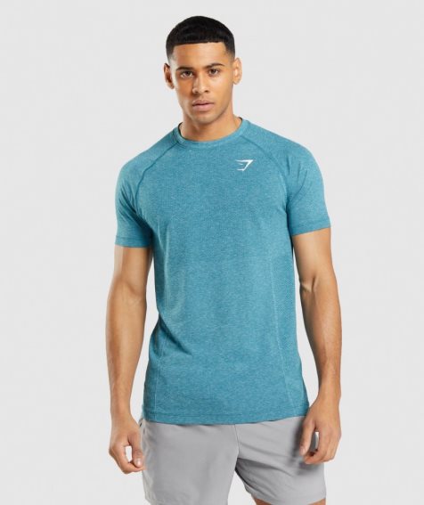 Gymshark Vital Light Seamless T-shirt Herr Turkos | SE-21745Q