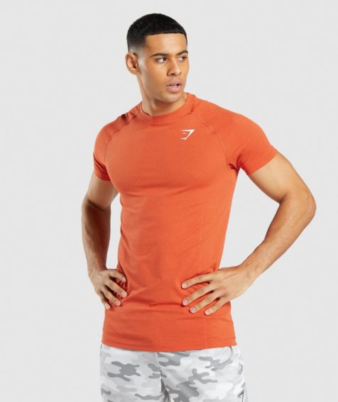 Gymshark Vital Light Seamless T-shirt Herr Orange | SE-48732P