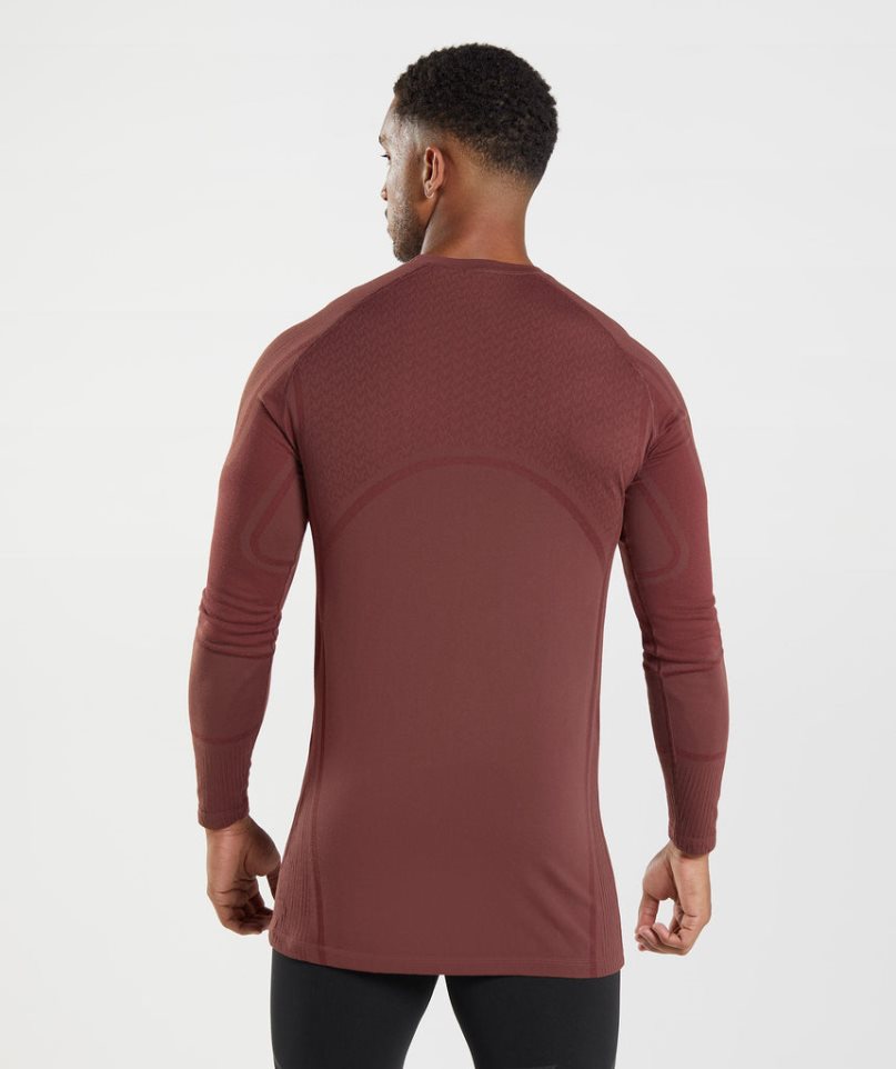 Gymshark 315 Long Sleeve T-shirt Herr Bruna | SE-81627X