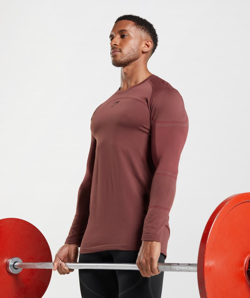 Gymshark 315 Long Sleeve T-shirt Herr Bruna | SE-81627X