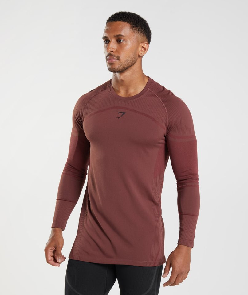 Gymshark 315 Long Sleeve T-shirt Herr Bruna | SE-81627X