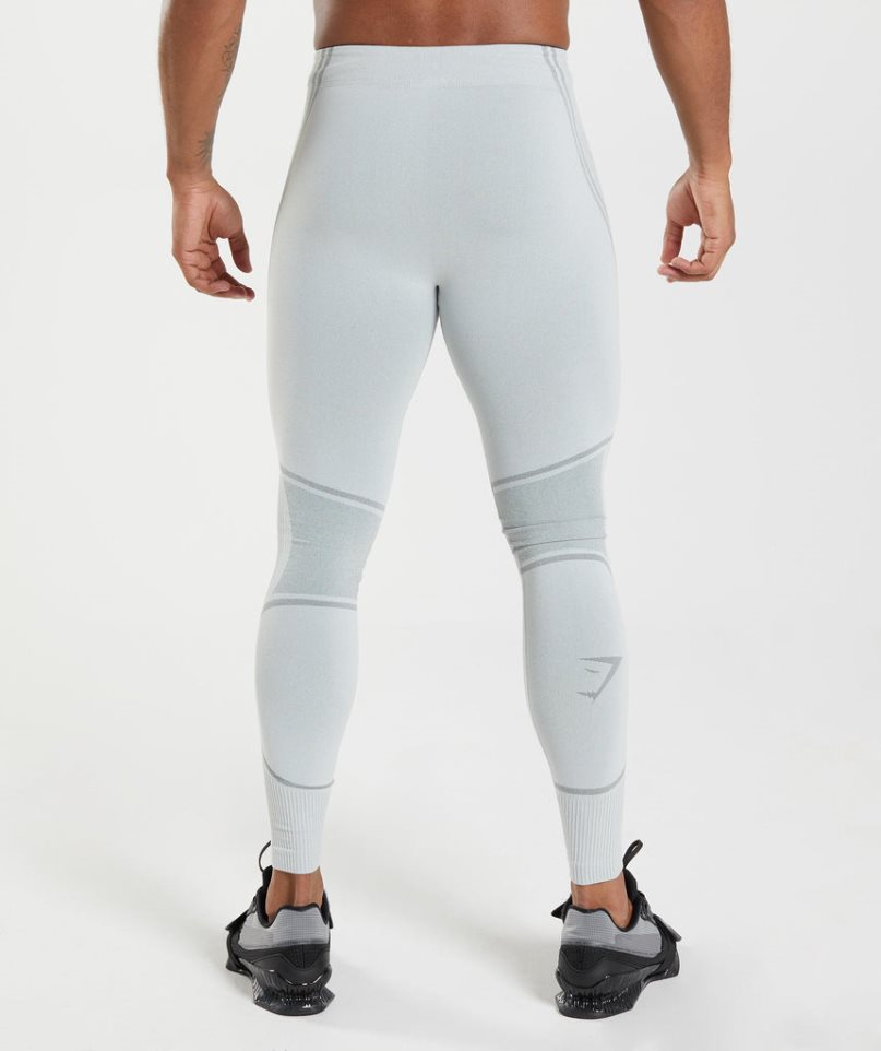 Gymshark 315 Seamless Leggings Herr Ljusgrå | SE-34150L