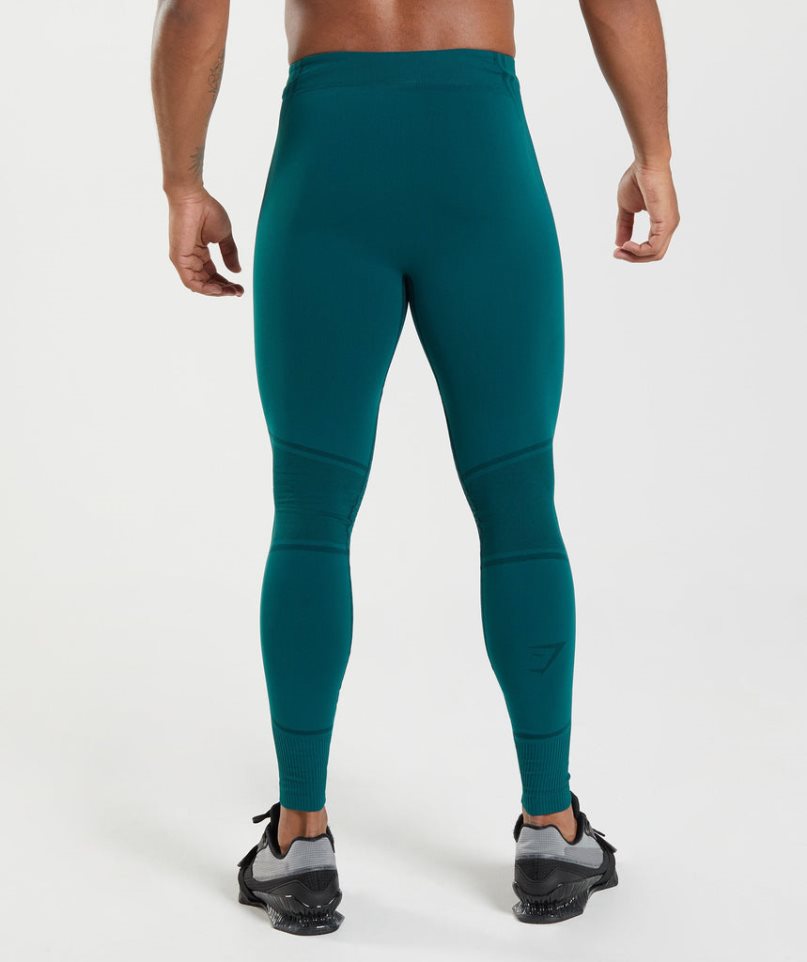 Gymshark 315 Seamless Leggings Herr Turkos | SE-23709W