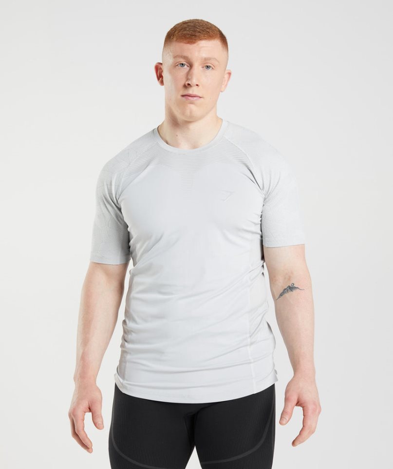 Gymshark 315 T-shirt Herr Ljusgrå | SE-27354L