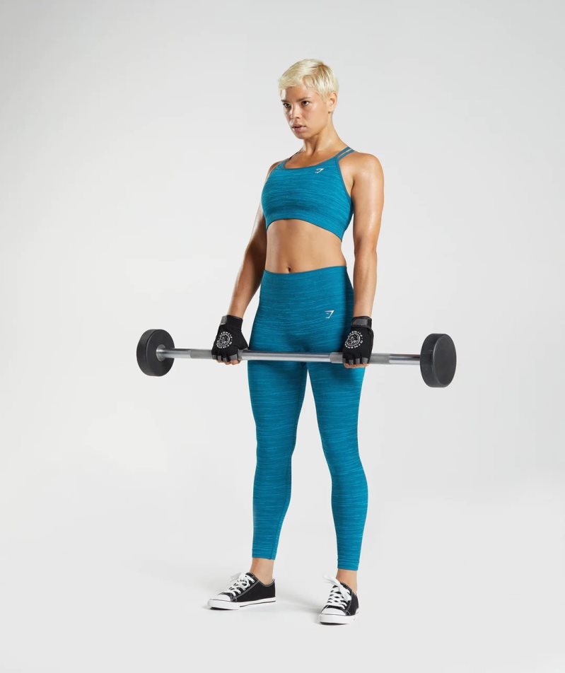 Gymshark Adapt Marl Seamless Leggings Dam Blå | SE-17253H