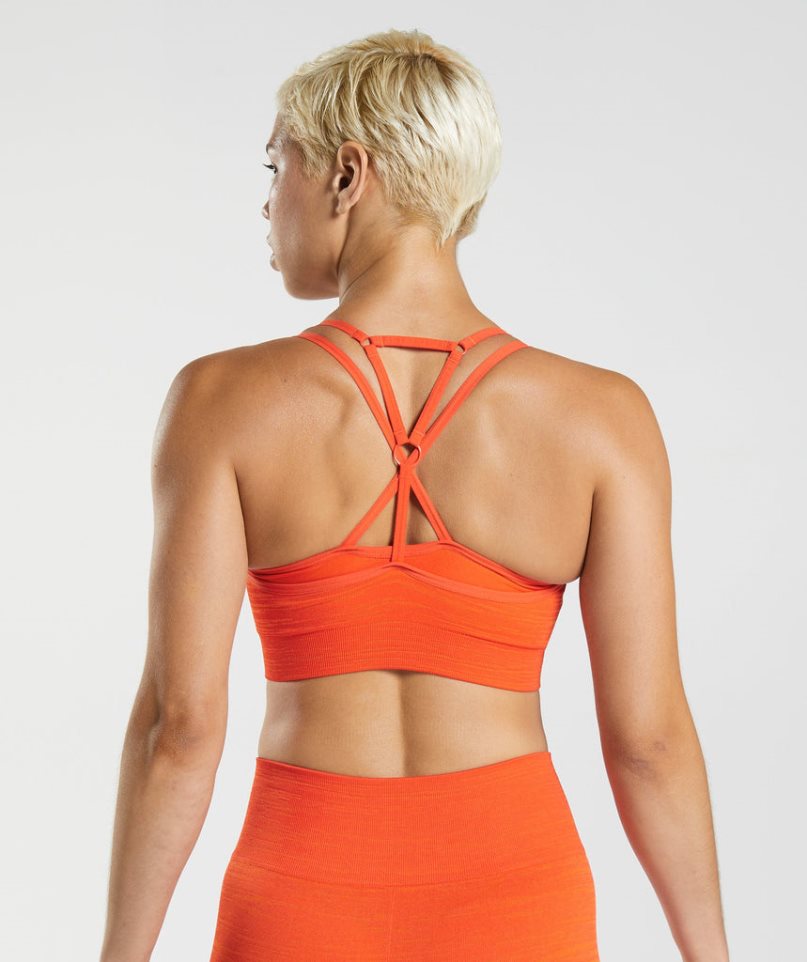 Gymshark Adapt Marl Seamless Sport Bh Dam Orange | SE-60821D