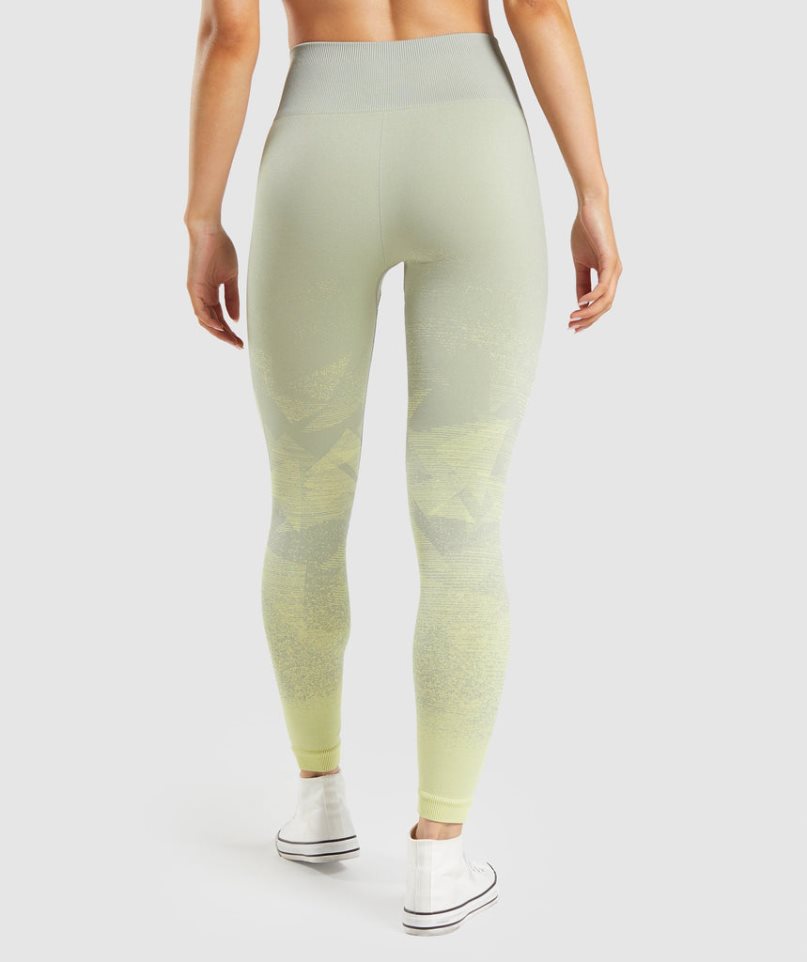 Gymshark Adapt Ombre Seamless Leggings Dam Mintgröna | SE-59721U