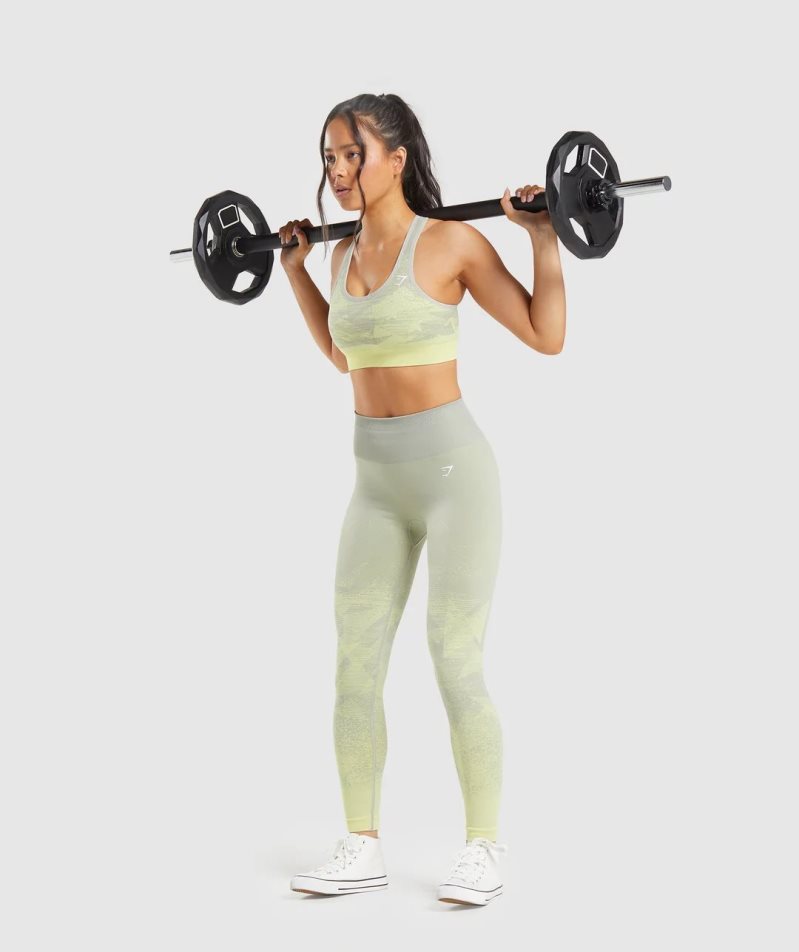 Gymshark Adapt Ombre Seamless Leggings Dam Mintgröna | SE-59721U