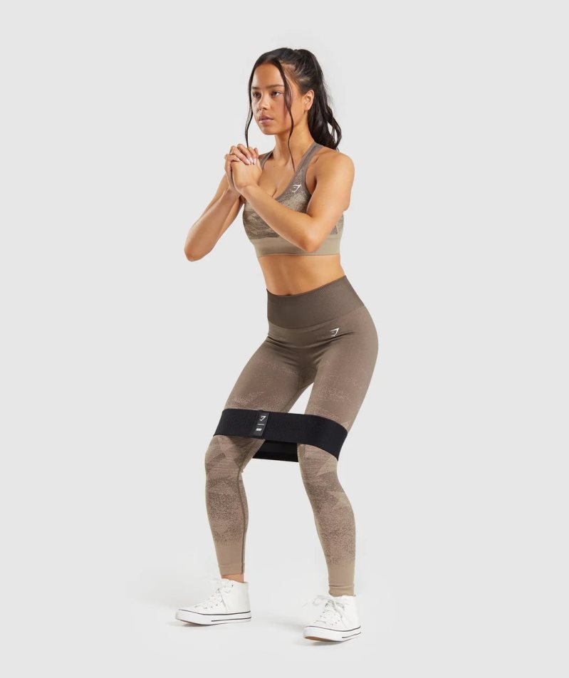 Gymshark Adapt Ombre Seamless Leggings Dam Bruna | SE-68290R