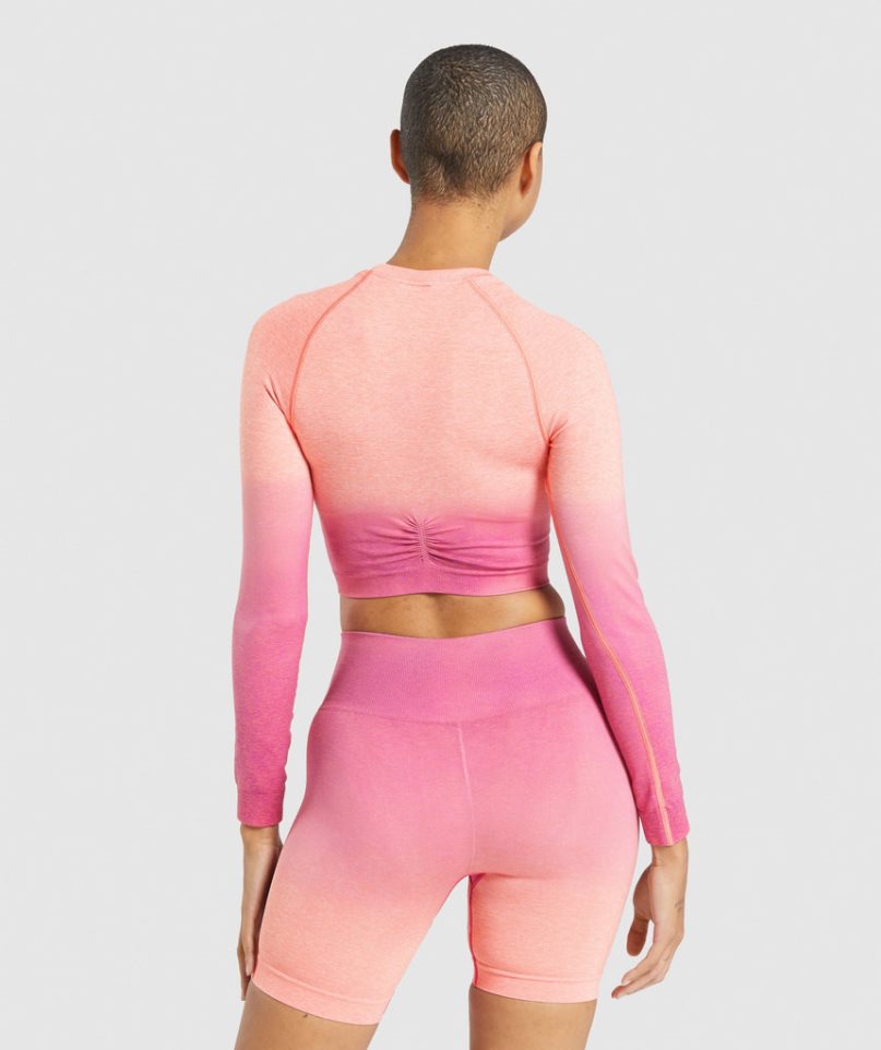 Gymshark Adapt Ombre Seamless Long Sleeve Beskurna Toppar Dam Rosa | SE-02968T