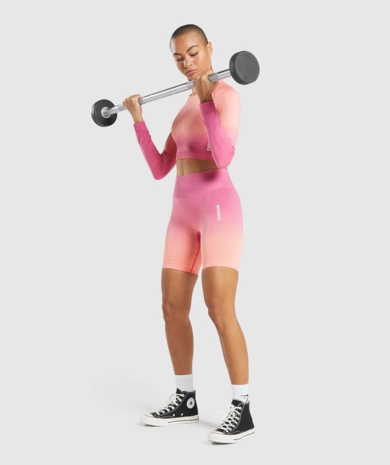 Gymshark Adapt Ombre Seamless Long Sleeve Beskurna Toppar Dam Rosa | SE-02968T