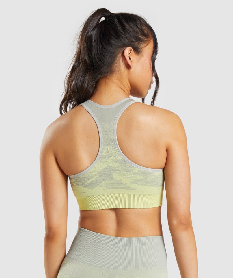 Gymshark Adapt Ombre Seamless Sport Bh Dam Grå | SE-64057Q