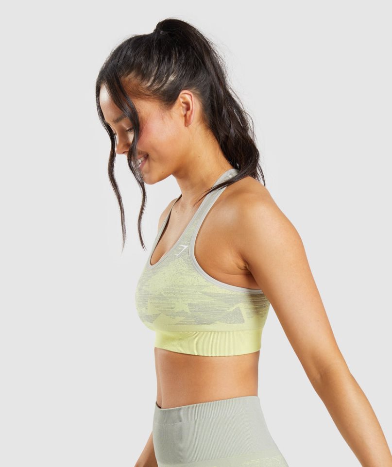 Gymshark Adapt Ombre Seamless Sport Bh Dam Grå | SE-64057Q