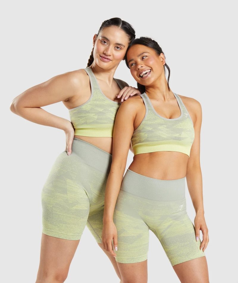 Gymshark Adapt Ombre Seamless Sport Bh Dam Grå | SE-64057Q