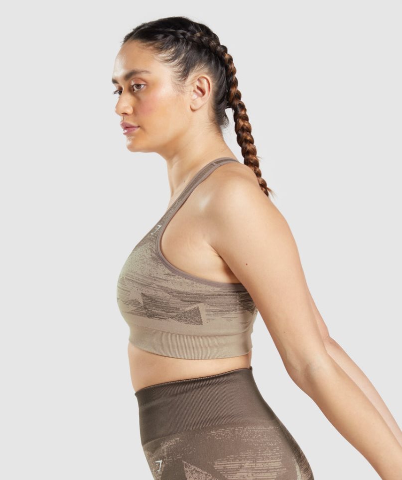 Gymshark Adapt Ombre Seamless Sport Bh Dam Bruna | SE-75386W