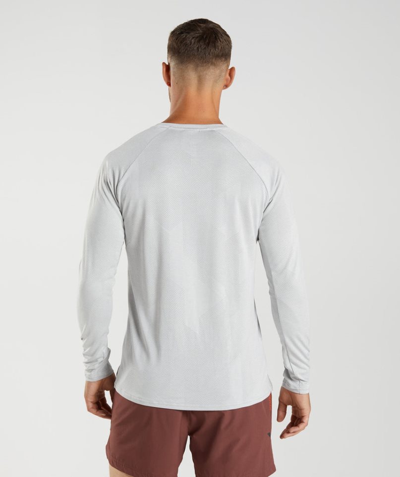 Gymshark Apex Long Sleeve T-shirt Herr Ljusgrå | SE-49580R