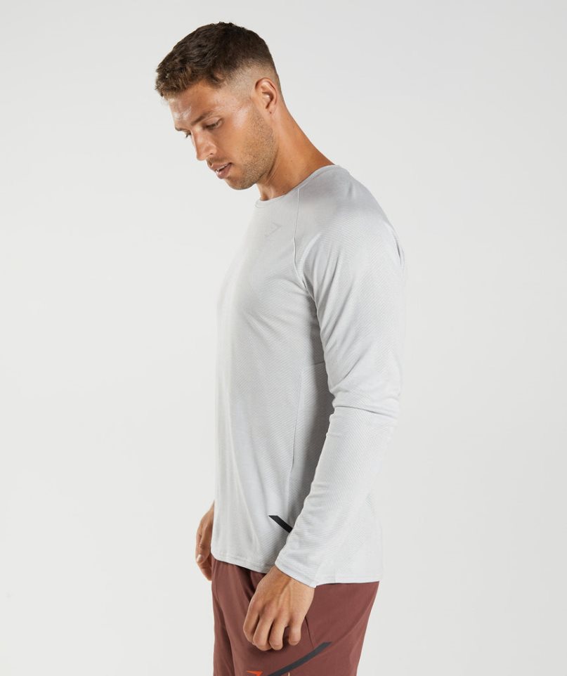 Gymshark Apex Long Sleeve T-shirt Herr Ljusgrå | SE-49580R