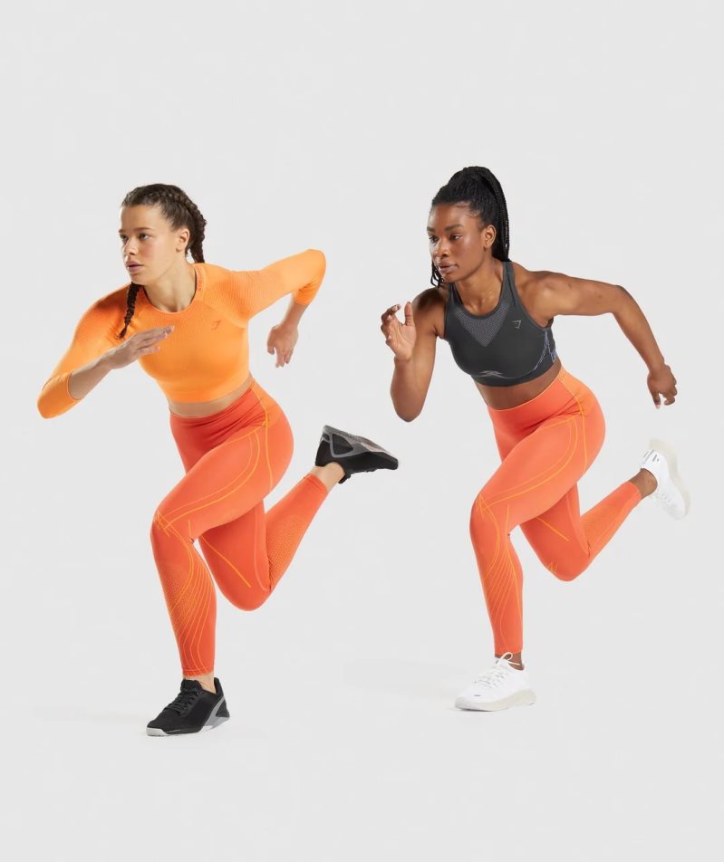 Gymshark Apex Seamless High Rise Leggings Dam Orange | SE-30261A