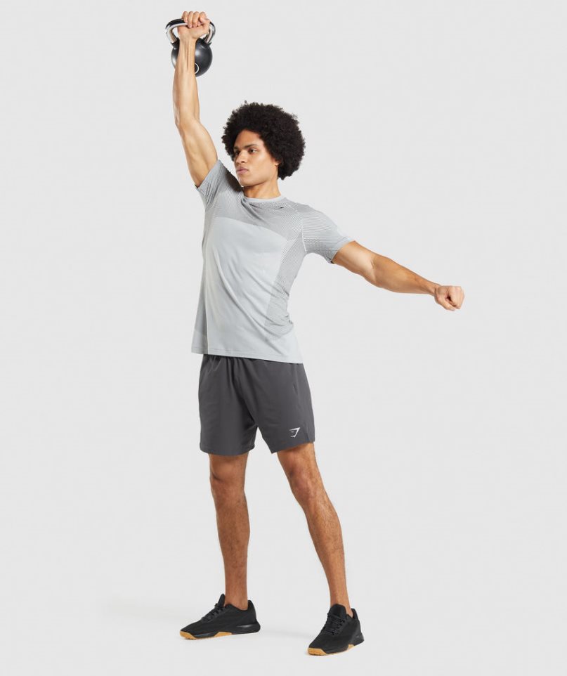 Gymshark Apex Seamless T-shirt Herr Ljusgrå | SE-13920C