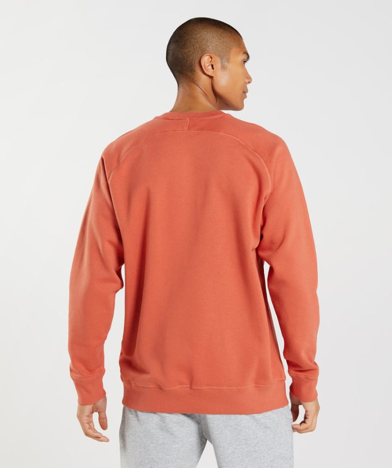 Gymshark Apollo Crew Tröjor Herr Orange | SE-01235O