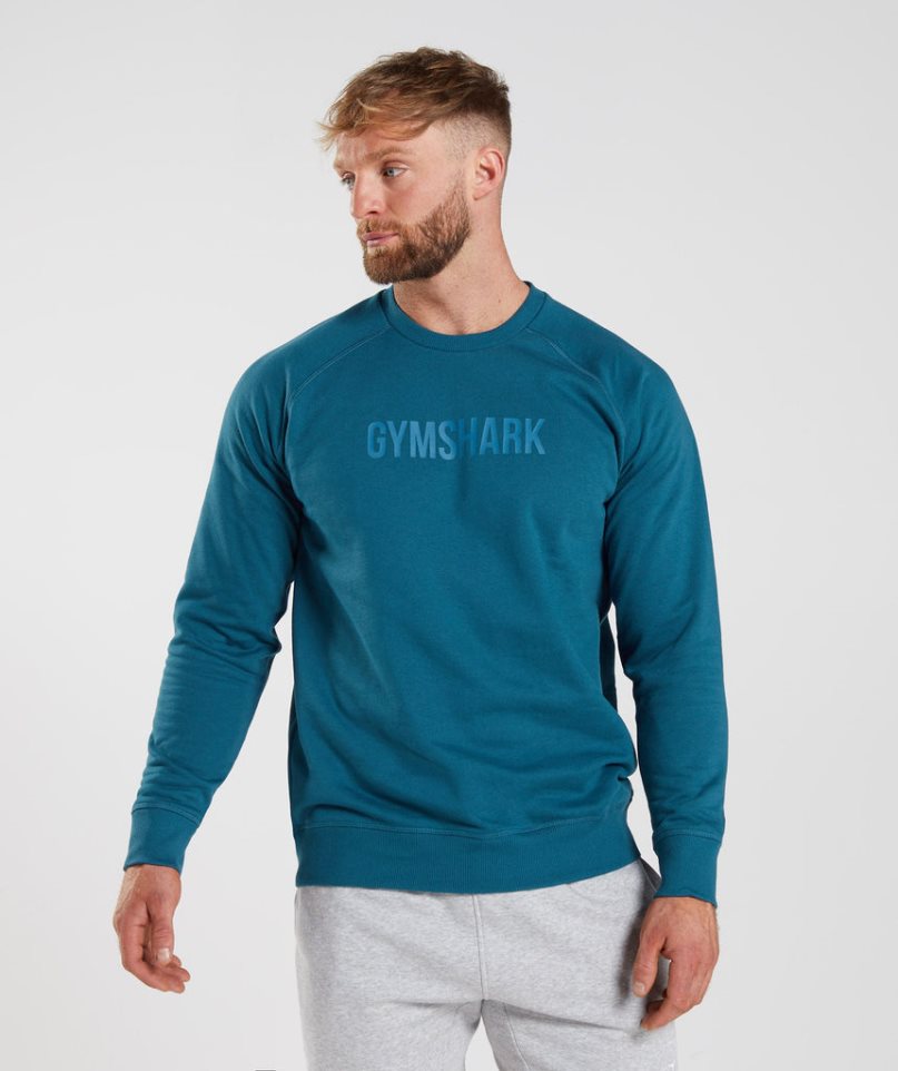 Gymshark Apollo Crew Tröjor Herr Turkos | SE-16824S