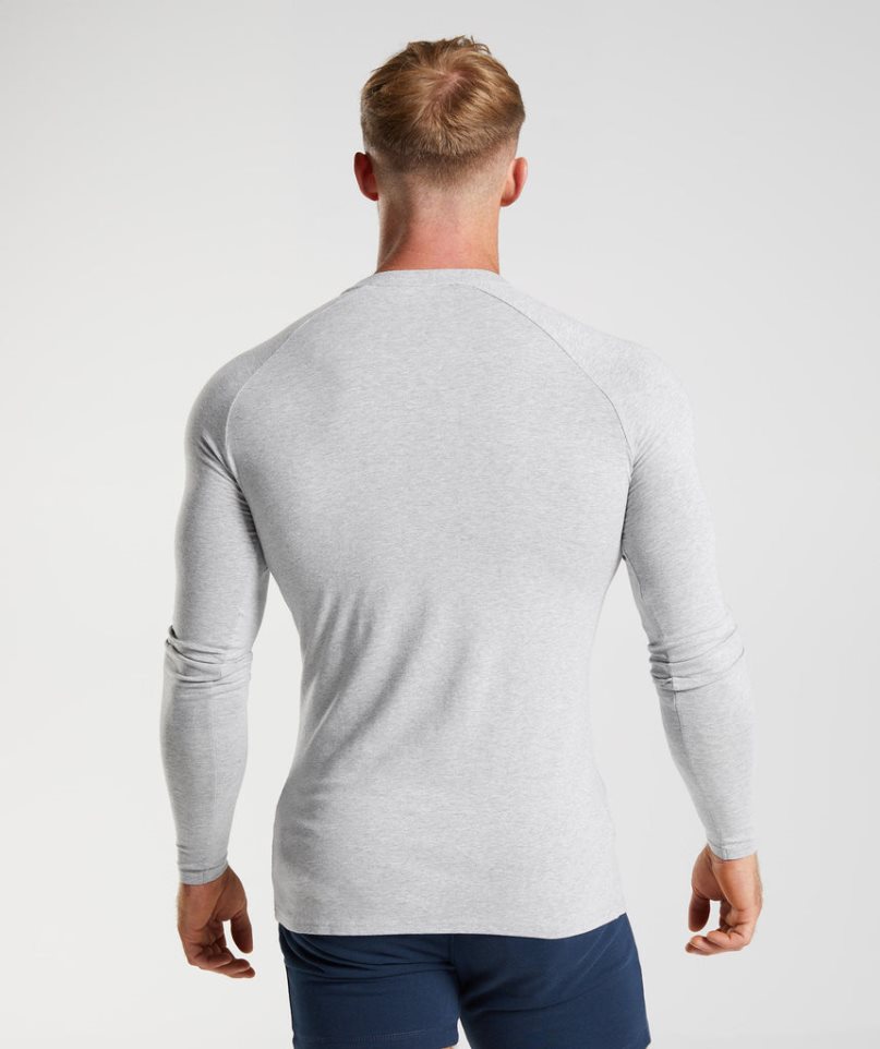 Gymshark Apollo Long Sleeve T-shirt Herr Ljusgrå | SE-16903D