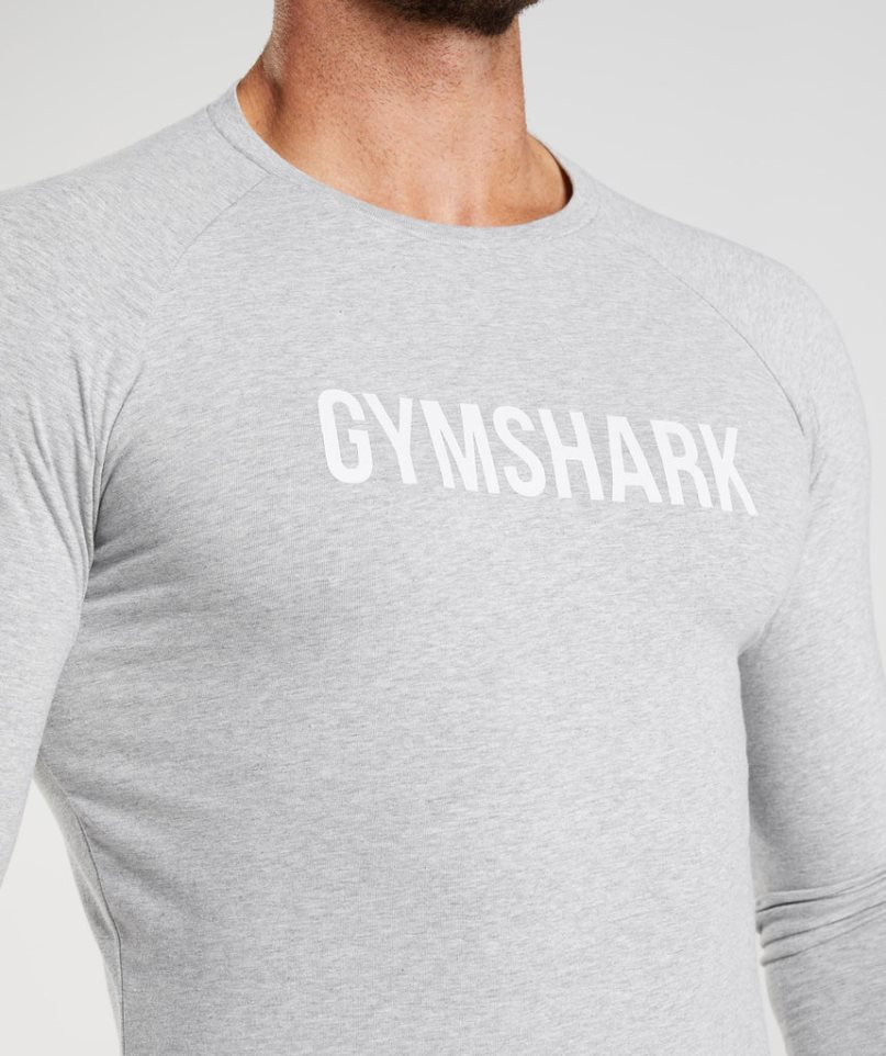 Gymshark Apollo Long Sleeve T-shirt Herr Ljusgrå | SE-16903D