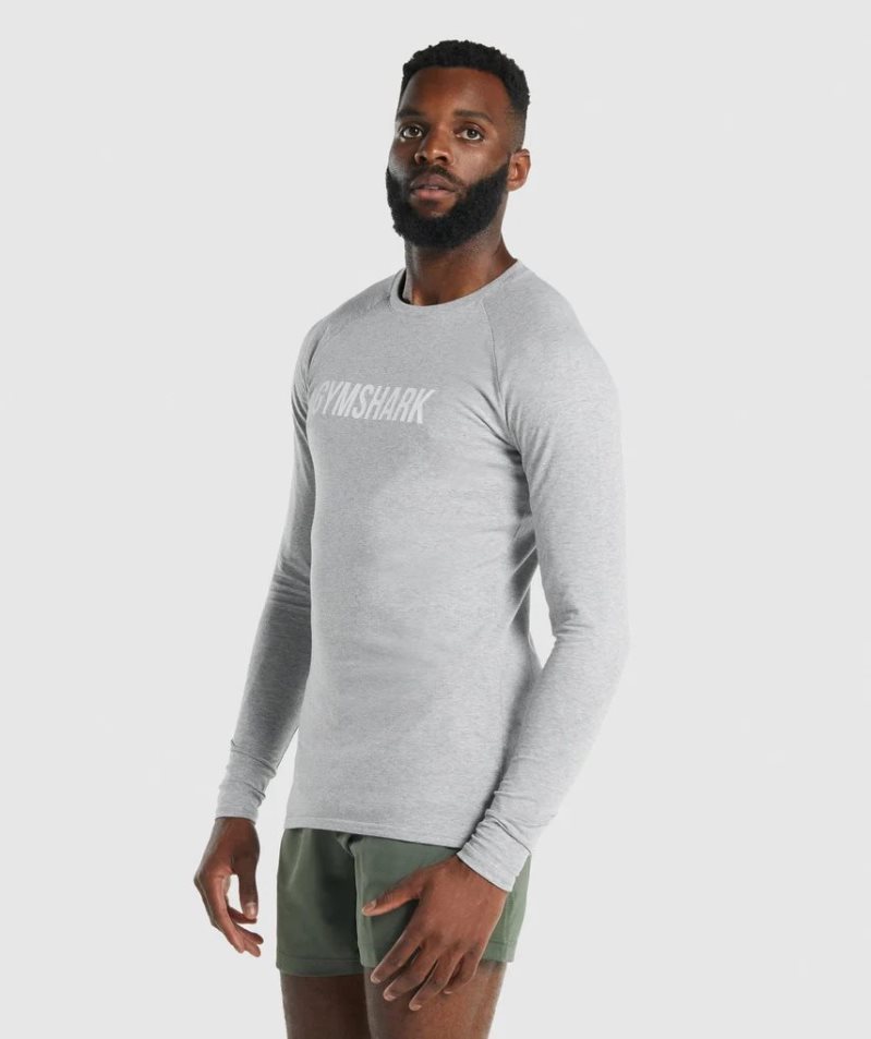 Gymshark Apollo Long Sleeve T-shirt Herr Ljusgrå | SE-40987E