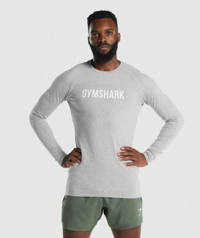 Gymshark Apollo Long Sleeve T-shirt Herr Ljusgrå | SE-40987E